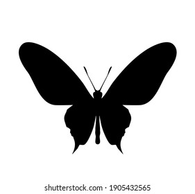 Black butterfly vector icon, isolated on white
