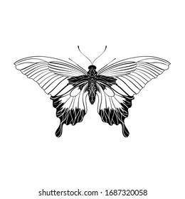 Black butterfly vector Ornate ink line art. Elegant tattoo silhouette. Isolated Insect illustration.
