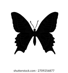 Silueta de Vector de mariposa negra aislada sobre fondo blanco. Ilustración vectorial de un insecto para Elementos de diseño y material educativo. Dibujo de forma monocromática de Machaon para signo o símbolo.