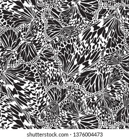 Black Butterfly Wing Pattern Background, Vector, Illustration