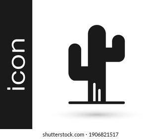 Black Cactus icon isolated on white background.  Vector