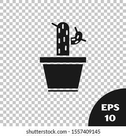 Black Cactus and succulent in pot icon isolated on transparent background. Plant growing in a pot. Potted plant sign.  Vector Illustration