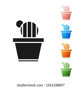 Black Cactus and succulent in pot icon isolated on white background. Plant growing in a pot. Potted plant sign. Set icons colorful. Vector Illustration