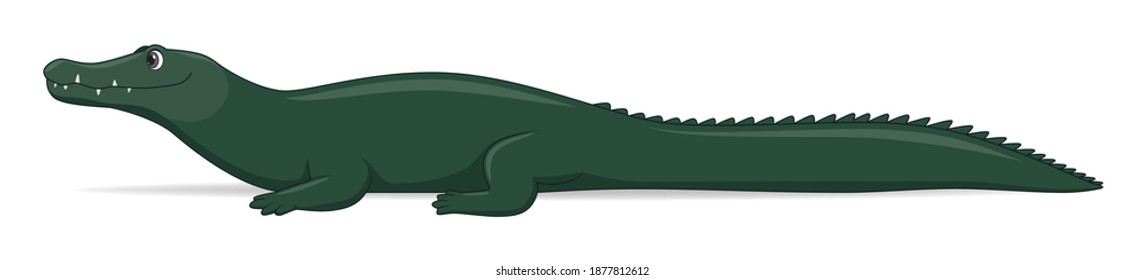 Black caiman animal on a white background. Cartoon style vector illustration