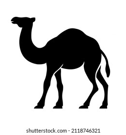 black Camel  Silhouette Logo  vector