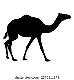 Black Camel Silhouette vector illustration