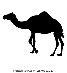 Black Camel Silhouette vector illustration