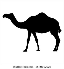 Black Camel Silhouette vector illustration