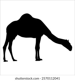 Black Camel Silhouette vector illustration