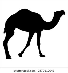Black Camel Silhouette vector illustration