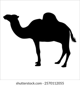 Black Camel Silhouette vector illustration
