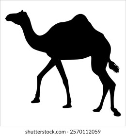Black Camel Silhouette vector illustration