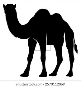 Black Camel Silhouette vector illustration