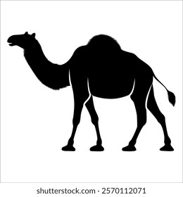 Black Camel Silhouette vector illustration