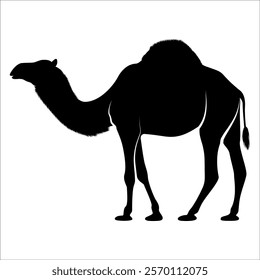 Black Camel Silhouette vector illustration