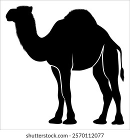 Black Camel Silhouette vector illustration