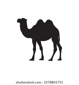 Black Camel silhouette vector illustration on white background
