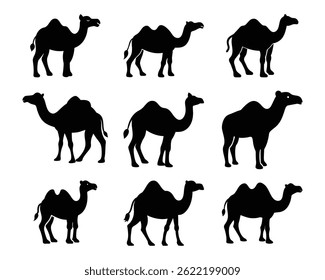 Black camel silhouettes on white background representing desert animals and iconic wildlife