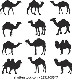 Black Camel Silhouettes Vector Art.