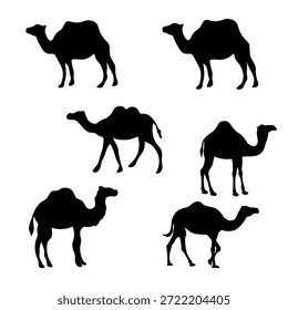 Conjunto de Vector de camello negro que muestra siluetas realistas desde diferentes ángulos y posiciones. Archivo EPS de alta calidad aislado sobre fondo blanco para fines profesionales de diseño gráfico y de logotipos.