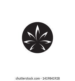 black Canabis leaf vector illustration icon design vector