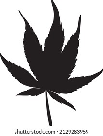 Hojas negras de cannabis aisladas en un fondo blanco. Silhouette de cannabis. Ilustración vectorial.