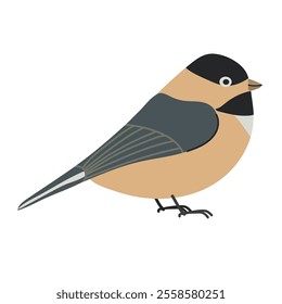 Black capped chickadee clipart avatar logotype isolated illustration