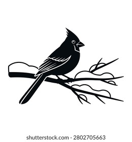 Black cardinal bird sitting on branch