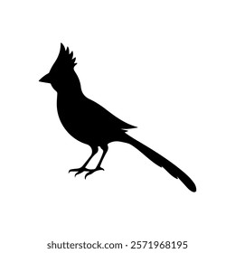 Black Cardinal silhouette vector illustration on white background.