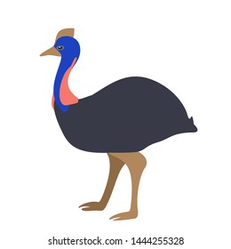 Black cassowary standing with a beautiful blue neck, vector, color drawing or illustration.
