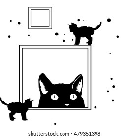 Black cat #1