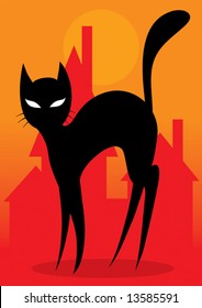 Black cat