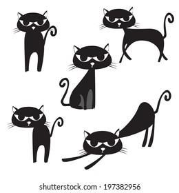 black cat