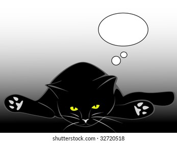 Black cat