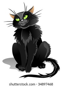 Black cat