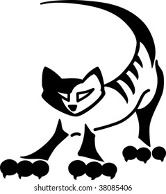 Black cat
