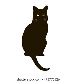 black cat