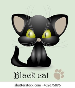 Black cat