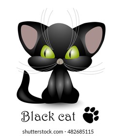 Black cat