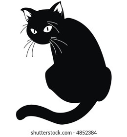 Black cat