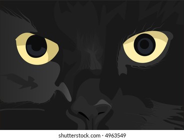 Black Cat