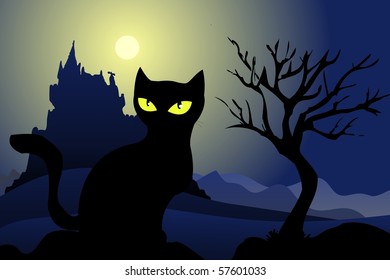black cat