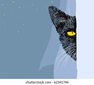 Black cat