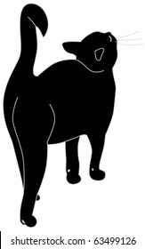 black cat