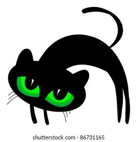 Black cat