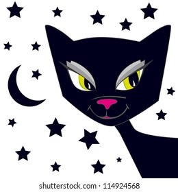 Black cat against the background of the night