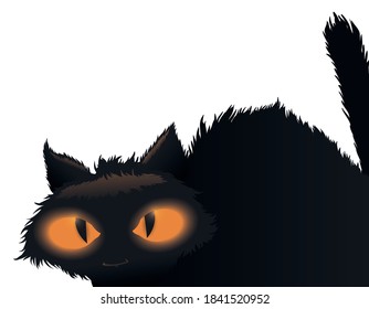 Black cat with big eyes, bristly fur and stealthy gesture, isolated over white background.