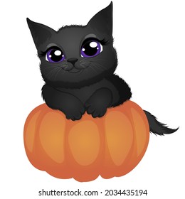 Black cat and big pumpkin. Cartoon vector illustration. 