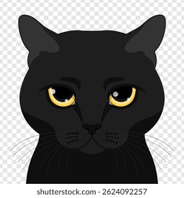 Black cat with big yellow eyes is peeking. Realistic style. Vector illustration