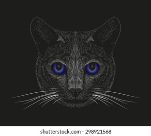 Black cat with blue eyes in the dark. Vector cat.  Cat hand drawn. Animal pet, illustration.